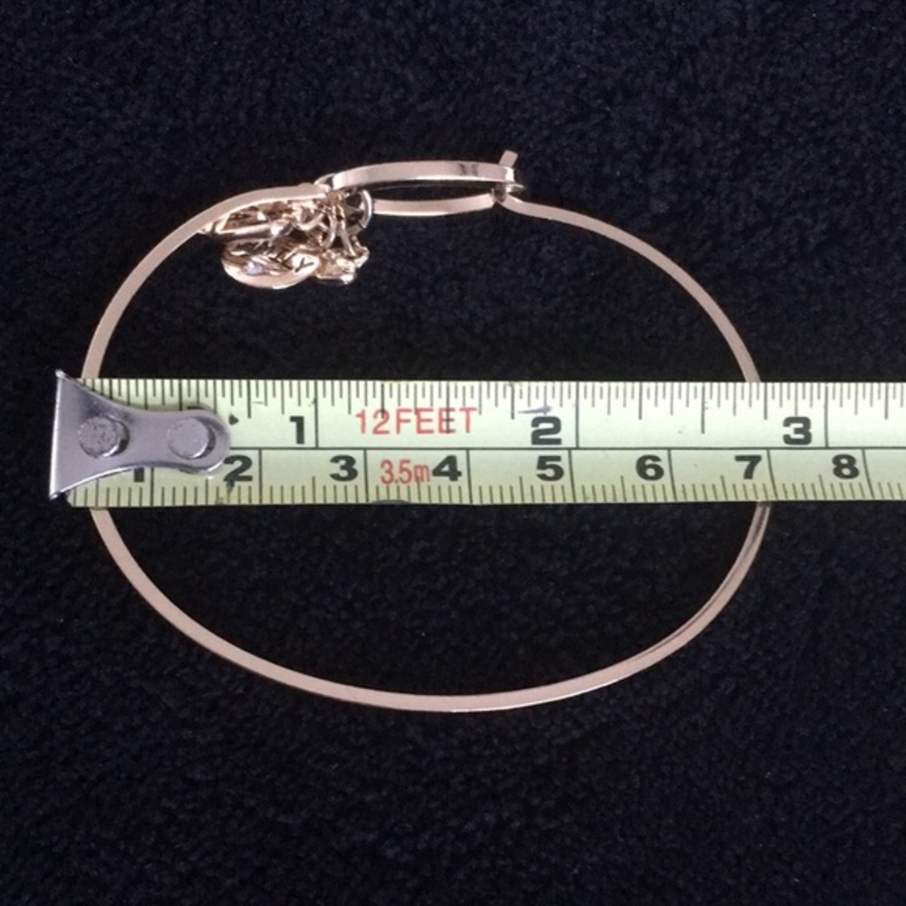Family Charm Gold Tone Bangle Bracelet - Picture 5 of 6